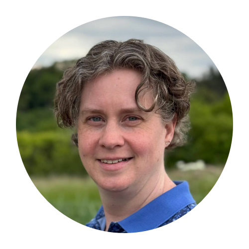 KI Strategieberater, NordAGI Team, KI Innovation